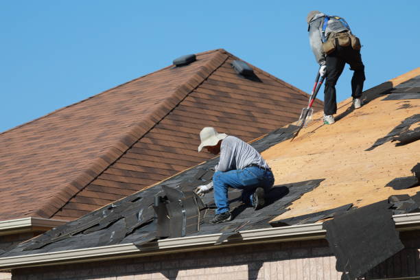 Trusted Lakeland, GA Roofing service Experts